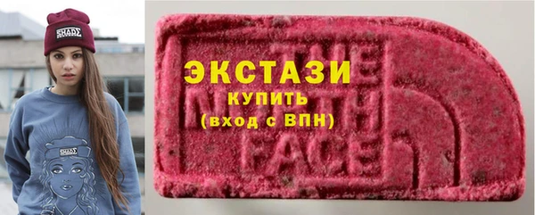 ECSTASY Костерёво